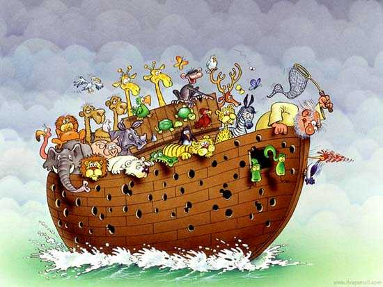 Noah's Ark !